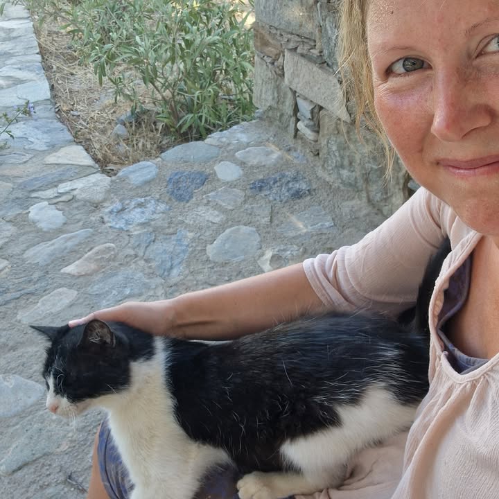 Cat HomeCare