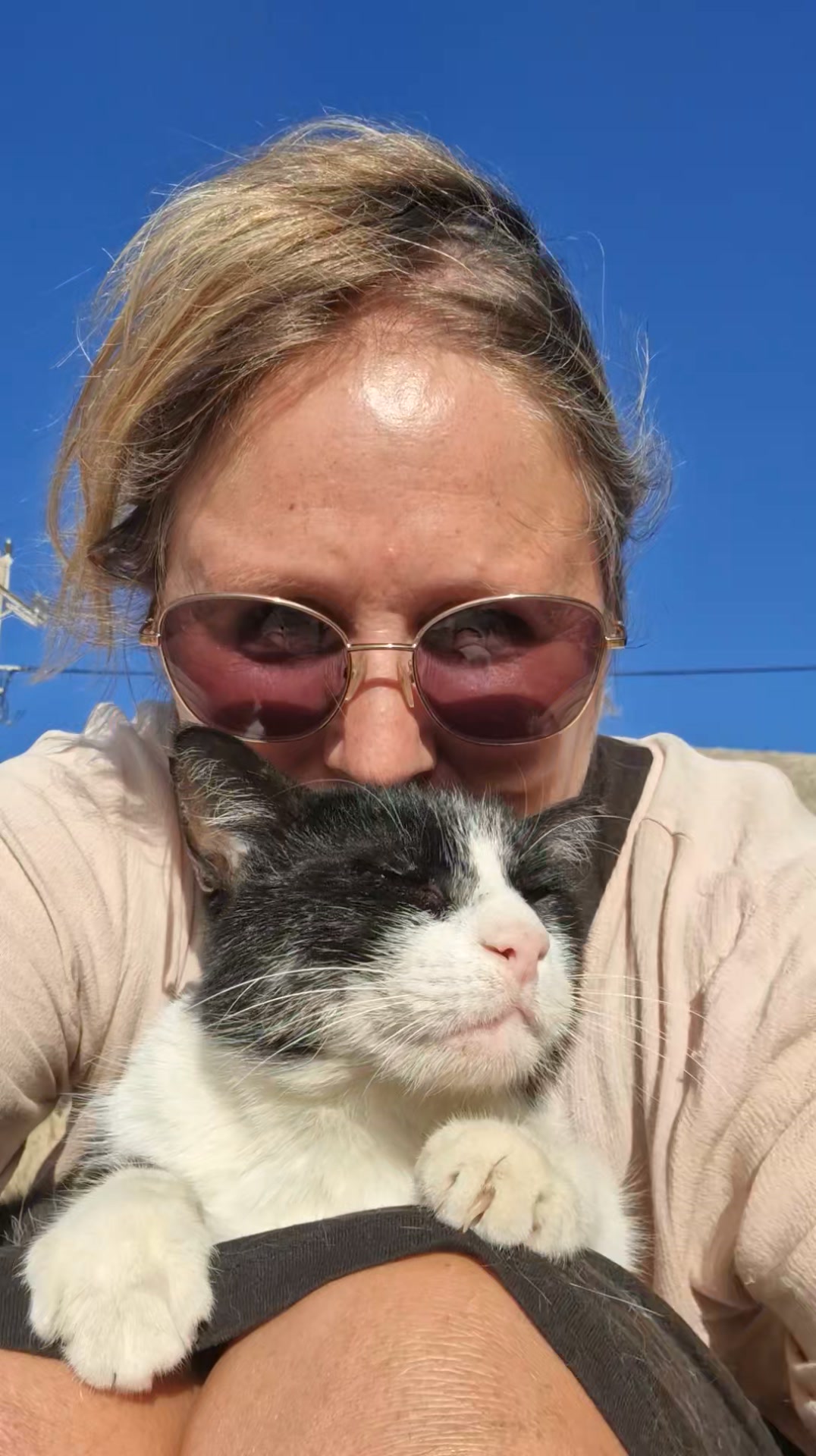 Cat HomeCare